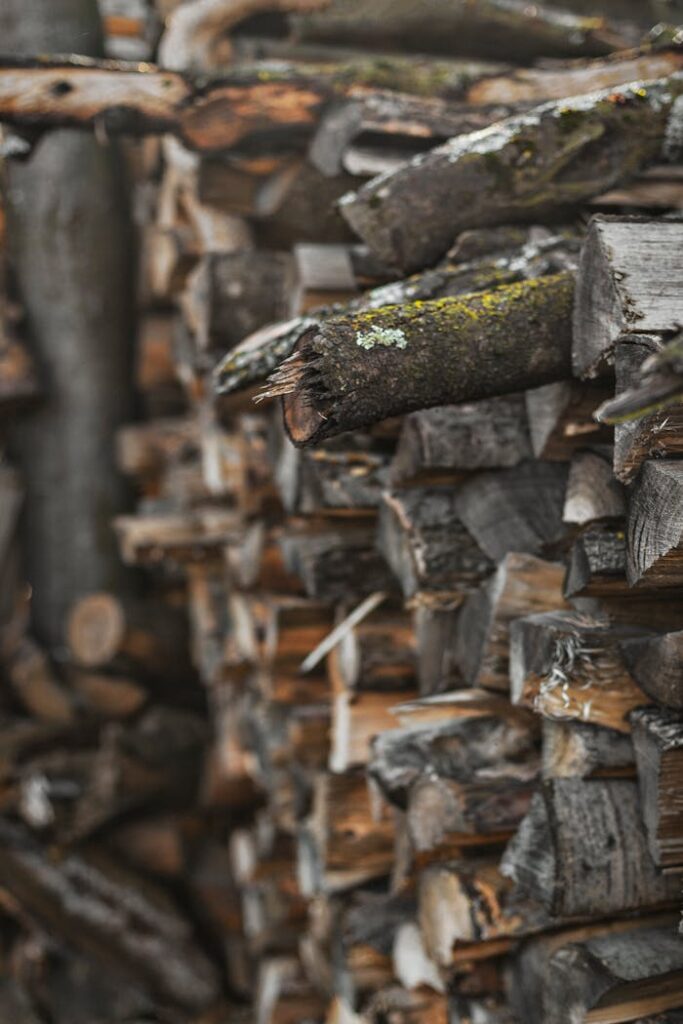 Close-up shot of stacked firewood with a focus on moss-covered logs, showcasing texture and natural elements.